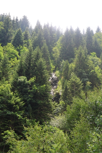 trek or hut image